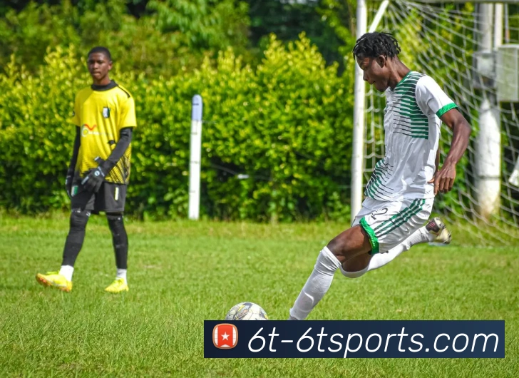 6t体育平台生态图